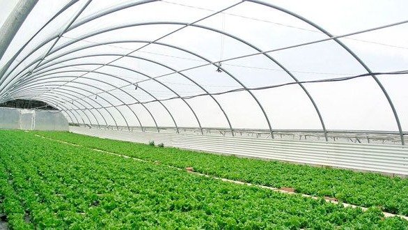 Imagen de la diapositiva