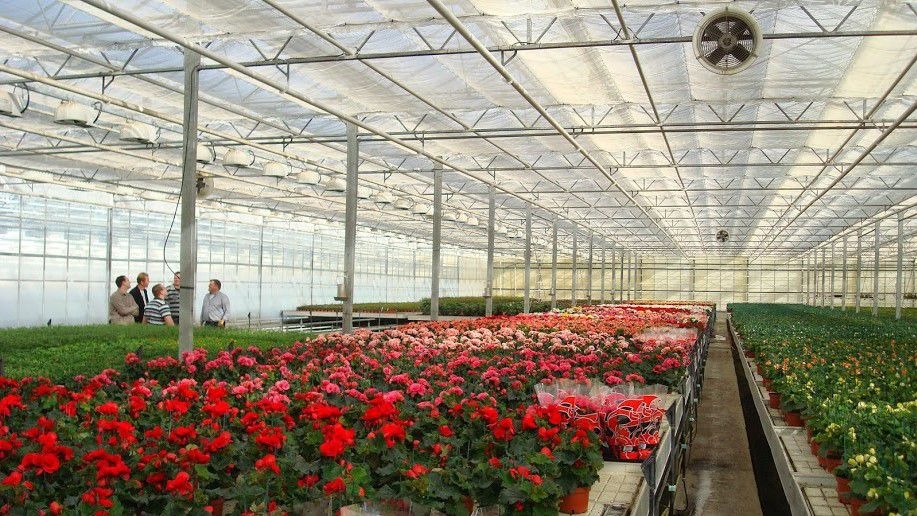 Imagen de la diapositiva