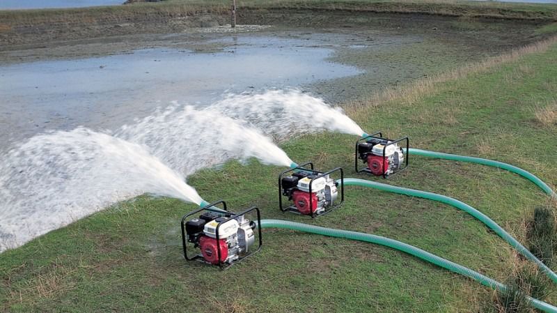 Imagen de la diapositiva