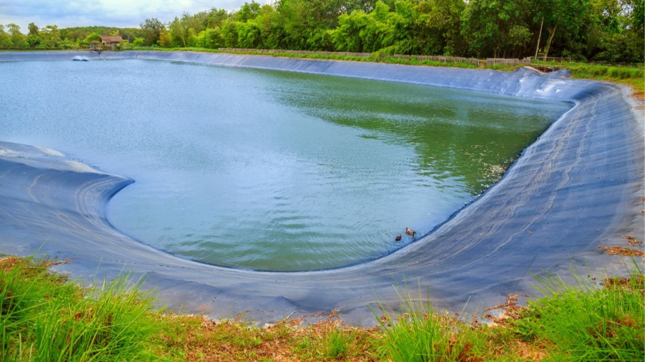 Imagen de la diapositiva